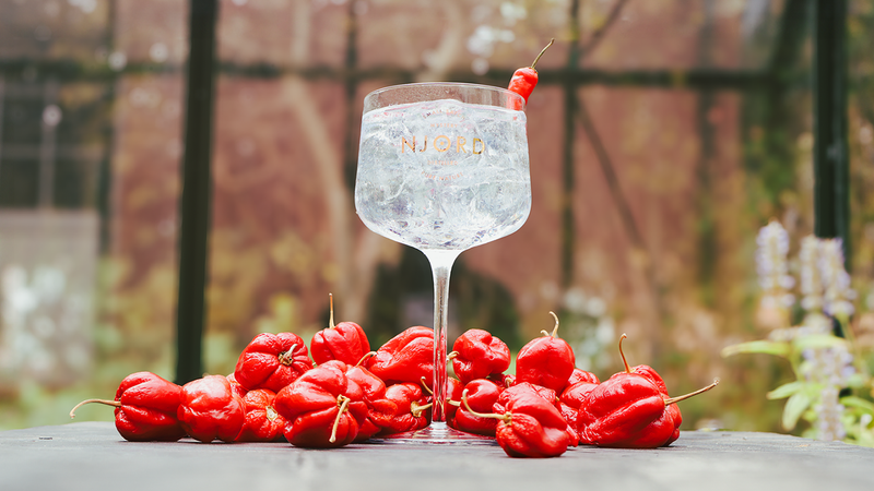 Aarhus Festuge 2024 G&T